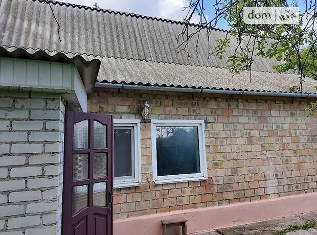 одноповерховий будинок з садом, 165 кв. м, кирпич. Продаж в Великій Димерці (Київська обл.) фото 1 одноповерховий будинок з садом, 165 кв. м, кирпич. Продаж в Великій Димерці (Київська обл.) фото 1