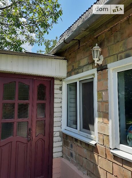 одноповерховий будинок з садом, 165 кв. м, кирпич. Продаж в Великій Димерці (Київська обл.) фото 1 одноповерховий будинок з садом, 165 кв. м, кирпич. Продаж в Великій Димерці (Київська обл.) фото 1