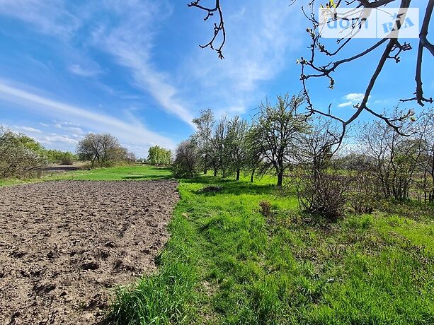 одноэтажный дом с садом, 90 кв. м, кирпич. Продажа в Гоголеве (Киевская обл.) фото 1 одноэтажный дом с садом, 90 кв. м, кирпич. Продажа в Гоголеве (Киевская обл.) фото 1