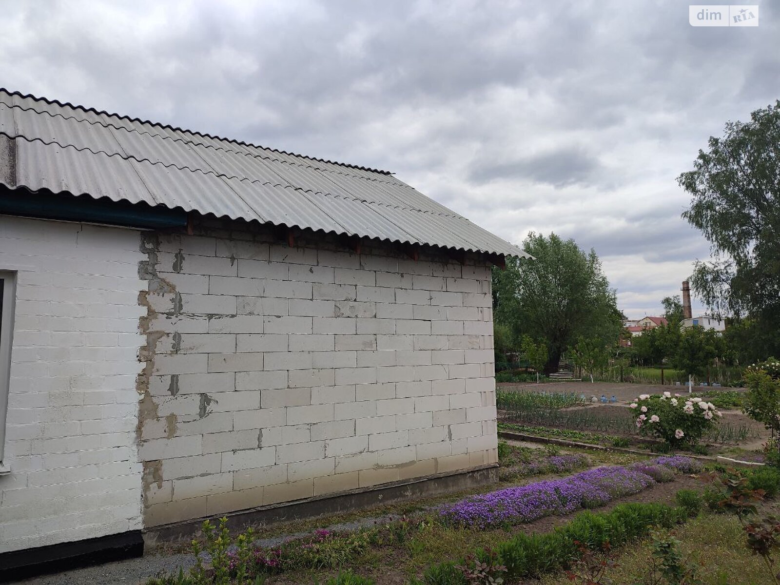одноэтажный дом с гаражом, 100 кв. м, кирпич. Продажа в Броварах фото 1 одноэтажный дом с гаражом, 100 кв. м, кирпич. Продажа в Броварах фото 1