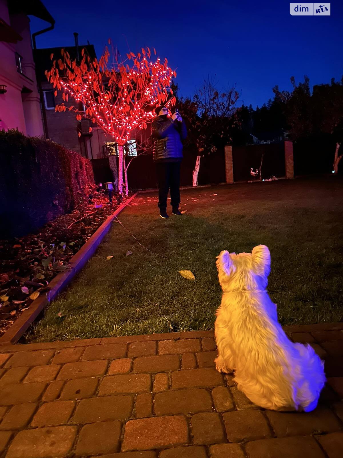 трехэтажный дом с гаражом, 390 кв. м, кирпич. Продажа в Броварах фото 1