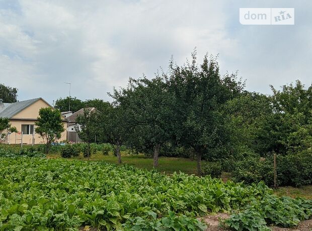 одноповерховий будинок з садом, 135 кв. м, цегла. Продаж в Броварах, район Перемога фото 1 одноповерховий будинок з садом, 135 кв. м, цегла. Продаж в Броварах, район Перемога фото 1