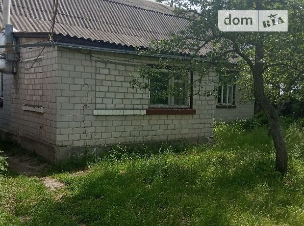 одноэтажный дом с садом, 100 кв. м, кирпич. Продажа в Пуховке (Киевская обл.) фото 1 одноэтажный дом с садом, 100 кв. м, кирпич. Продажа в Пуховке (Киевская обл.) фото 1