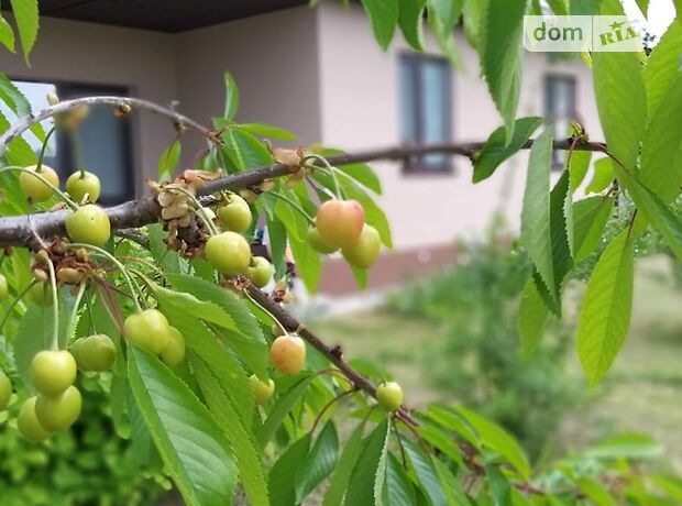 одноповерховий будинок з терасою, 124.3 кв. м, піноблок. Продаж в Рожнах (Київська обл.) фото 1 одноповерховий будинок з терасою, 124.3 кв. м, піноблок. Продаж в Рожнах (Київська обл.) фото 1