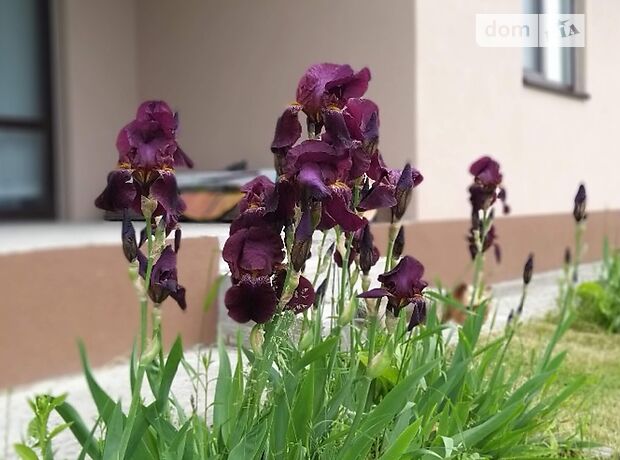 одноповерховий будинок з терасою, 124.3 кв. м, піноблок. Продаж в Рожнах (Київська обл.) фото 1 одноповерховий будинок з терасою, 124.3 кв. м, піноблок. Продаж в Рожнах (Київська обл.) фото 1