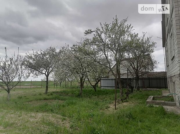двоповерховий будинок з садом, 200 кв. м, цегла. Продаж в Скибиному (Київська обл.) фото 1 двоповерховий будинок з садом, 200 кв. м, цегла. Продаж в Скибиному (Київська обл.) фото 1