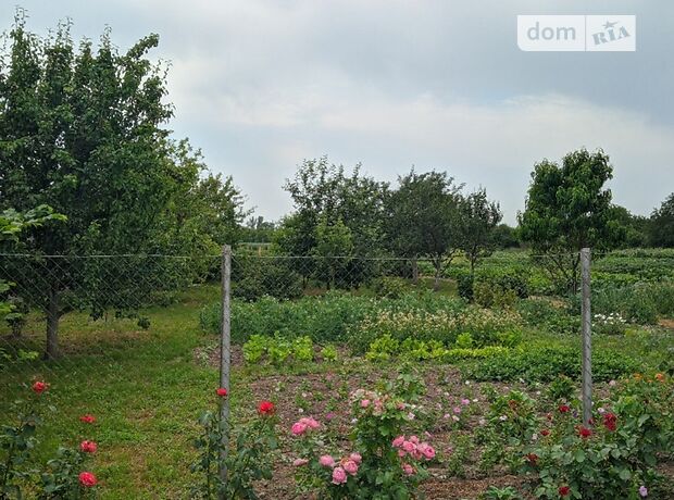 одноповерховий будинок з садом, 140 кв. м, цегла. Продаж в Світильні (Київська обл.) фото 1 одноповерховий будинок з садом, 140 кв. м, цегла. Продаж в Світильні (Київська обл.) фото 1