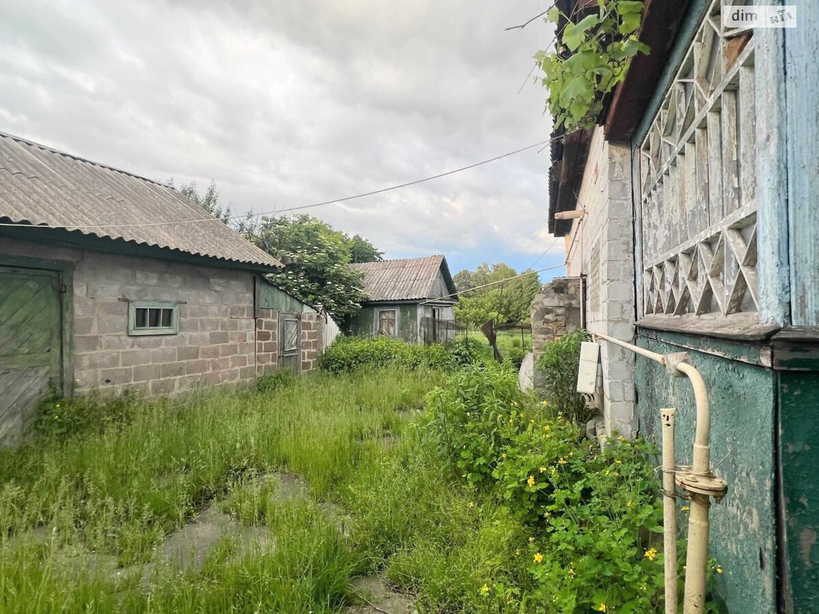 одноповерховий будинок, 53 кв. м, кирпич. Продаж у Броварах фото 1 одноповерховий будинок, 53 кв. м, кирпич. Продаж у Броварах фото 1