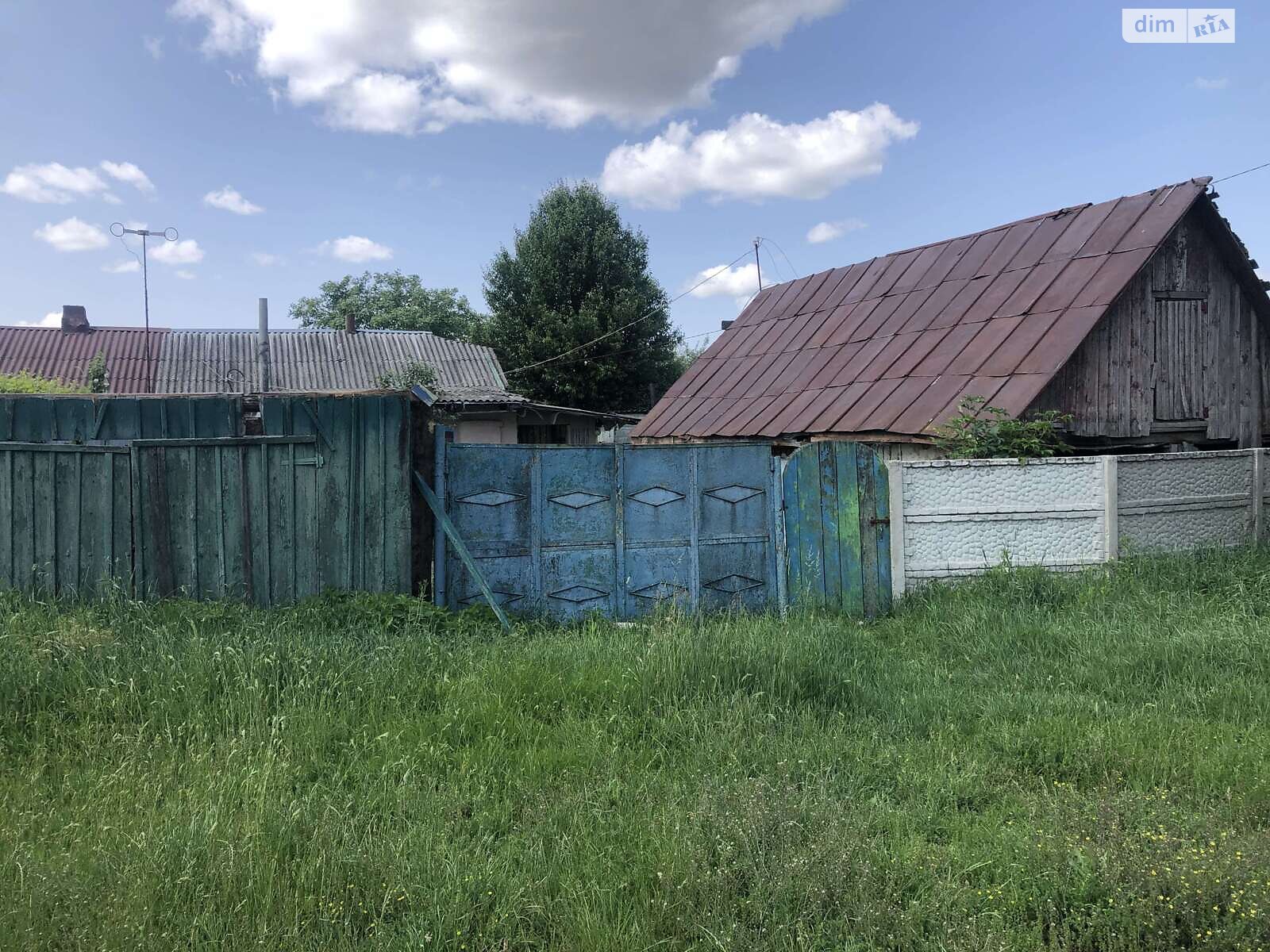 одноповерховий будинок з опаленням, 110.2 кв. м, цегла. Продаж в Брусилові, район Брусилів фото 1 одноповерховий будинок з опаленням, 110.2 кв. м, цегла. Продаж в Брусилові, район Брусилів фото 1