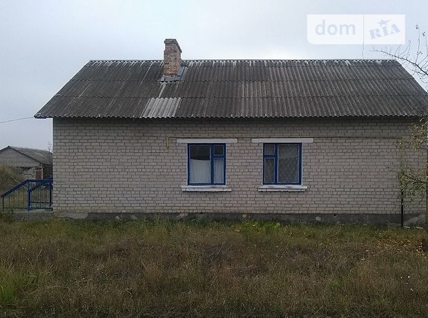 одноповерховий будинок з садом, 96 кв. м, цегла. Продаж в Брусилові, район Брусилів фото 1 одноповерховий будинок з садом, 96 кв. м, цегла. Продаж в Брусилові, район Брусилів фото 1