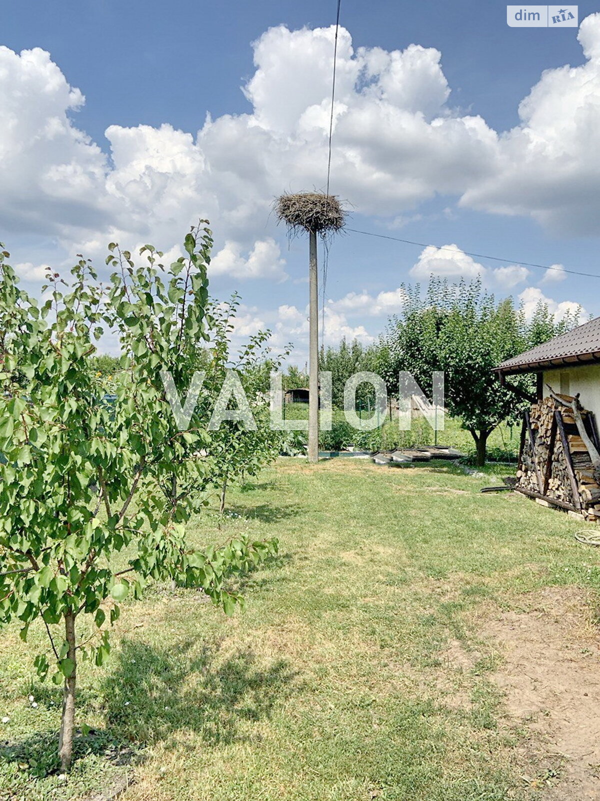 одноповерховий будинок з верандою, 100 кв. м, цегла. Продаж у Брусилові фото 1 одноповерховий будинок з верандою, 100 кв. м, цегла. Продаж у Брусилові фото 1