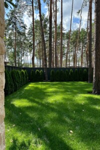 одноповерховий будинок з опаленням, 160 кв. м, цегла. Продаж в Бучі, район Буча фото 2