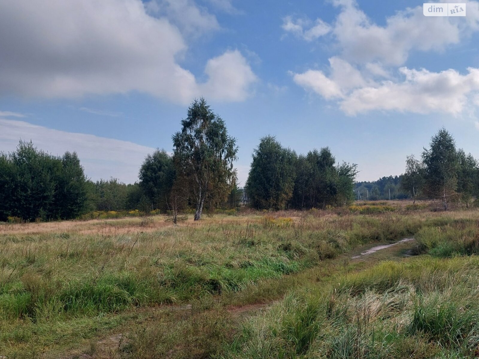 одноповерховий будинок, 145 кв. м, пеноблок. Продаж в Бучі, район Буча фото 1 одноповерховий будинок, 145 кв. м, пеноблок. Продаж в Бучі, район Буча фото 1