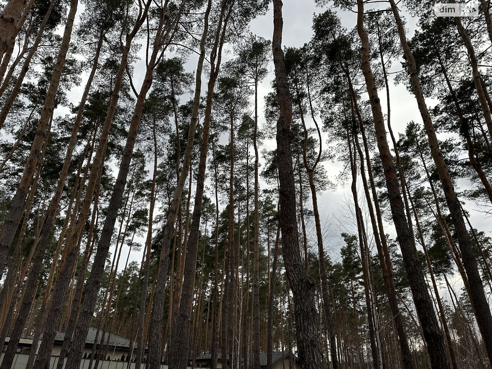 одноповерховий будинок, 145 кв. м, піноблок. Продаж в Бучі, район Буча фото 1 одноповерховий будинок, 145 кв. м, піноблок. Продаж в Бучі, район Буча фото 1
