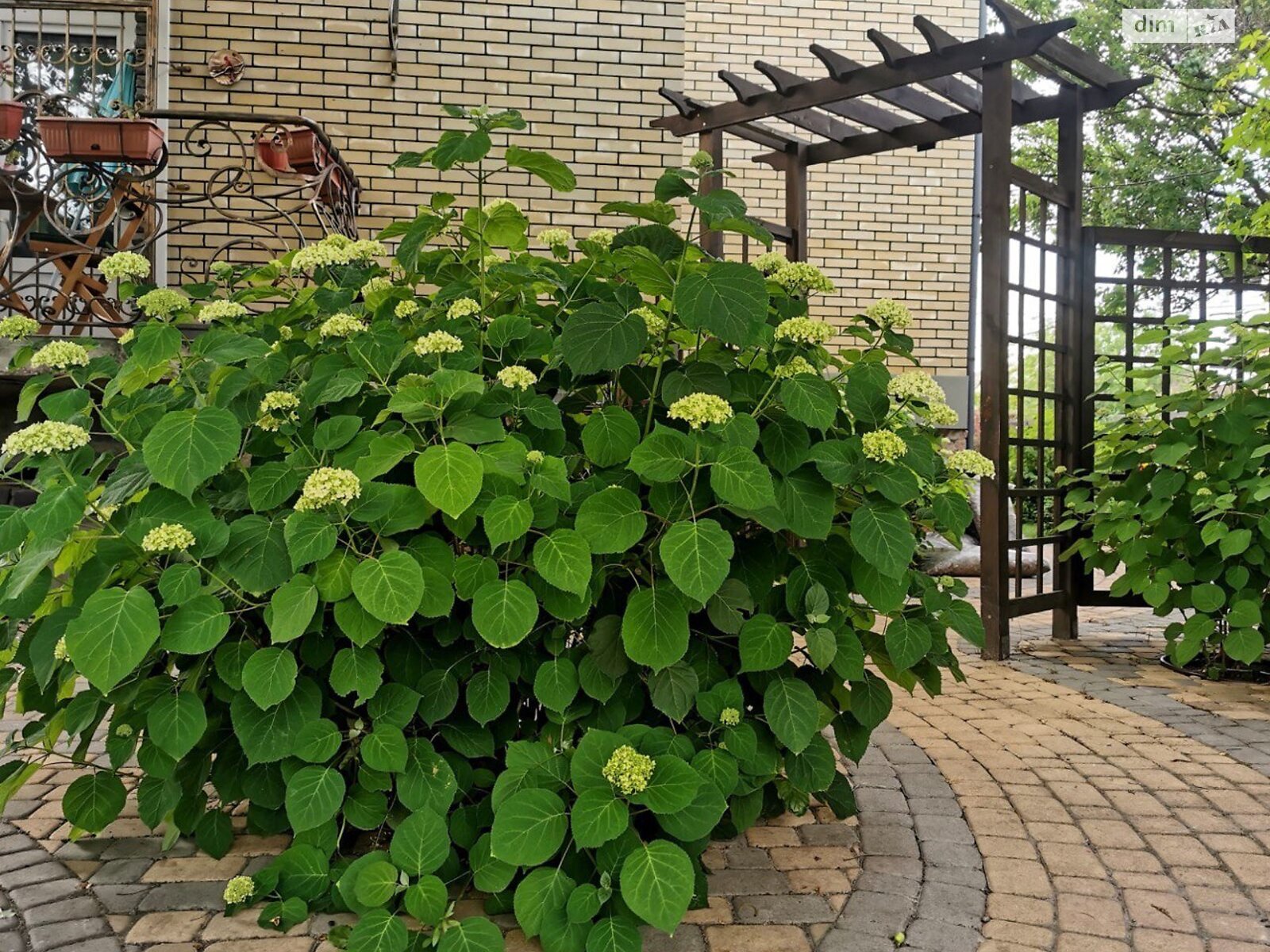 двухэтажный дом с балконом, 240 кв. м, кирпич. Продажа в Буче район Буча фото 1 двухэтажный дом с балконом, 240 кв. м, кирпич. Продажа в Буче район Буча фото 1
