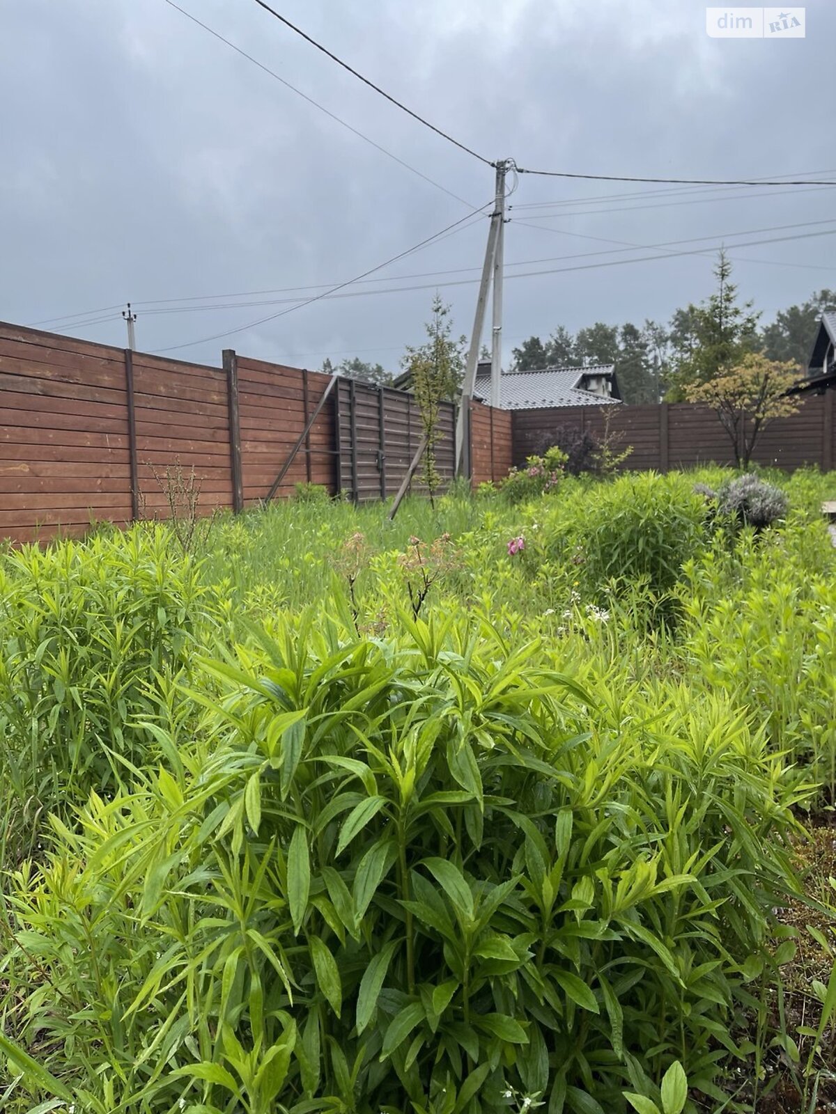 одноповерховий будинок з гаражем, 110 кв. м, панель. Продаж в Бучі, район Буча фото 1