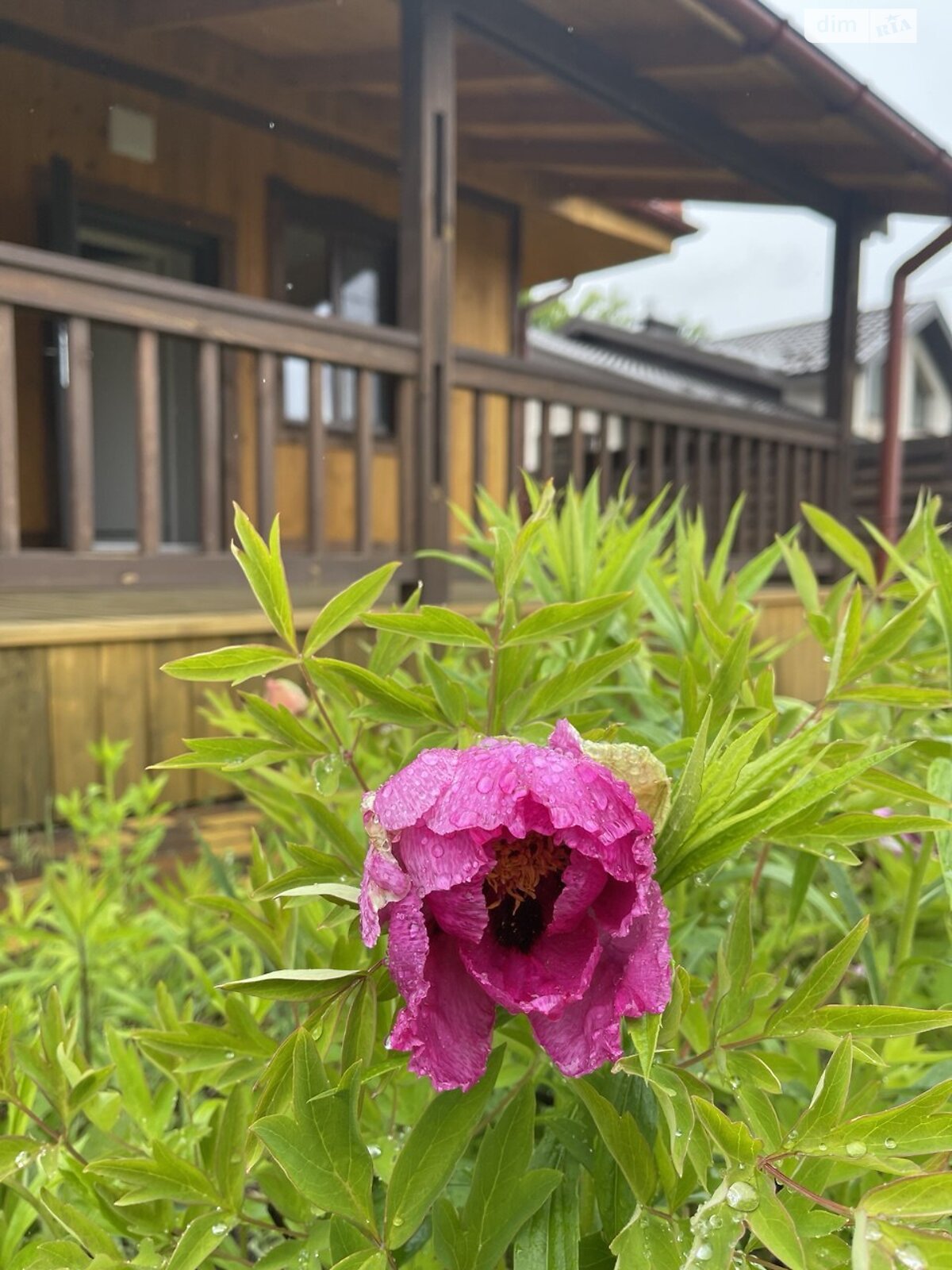 одноповерховий будинок з гаражем, 110 кв. м, панель. Продаж в Бучі, район Буча фото 1