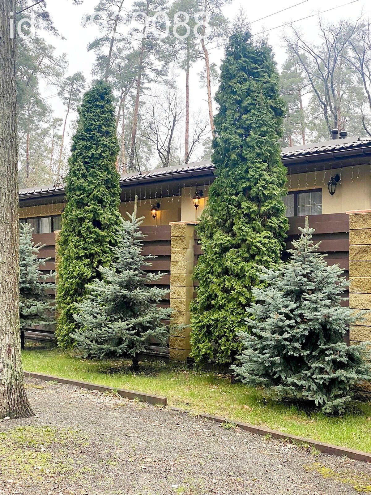 одноэтажный дом, 115 кв. м, кирпич. Продажа в Буче фото 1 одноэтажный дом, 115 кв. м, кирпич. Продажа в Буче фото 1