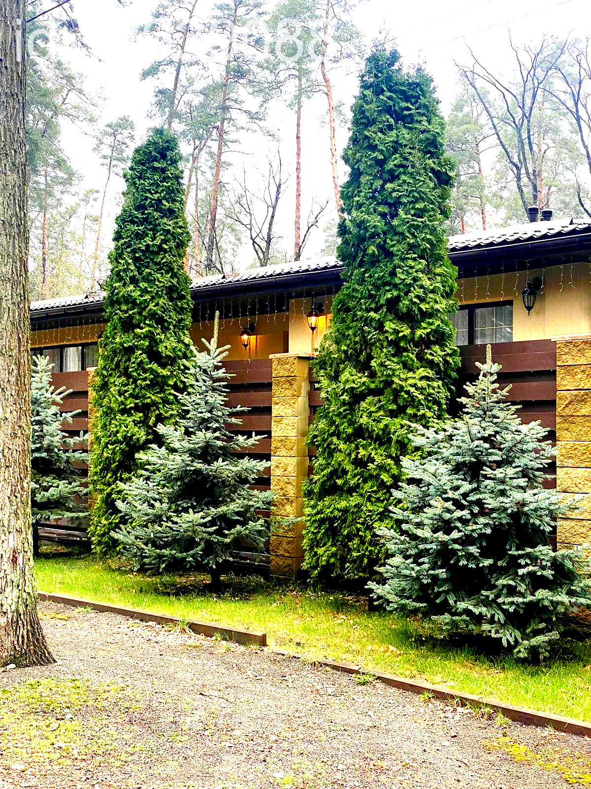 одноэтажный дом, 115 кв. м, кирпич. Продажа в Буче фото 1 одноэтажный дом, 115 кв. м, кирпич. Продажа в Буче фото 1