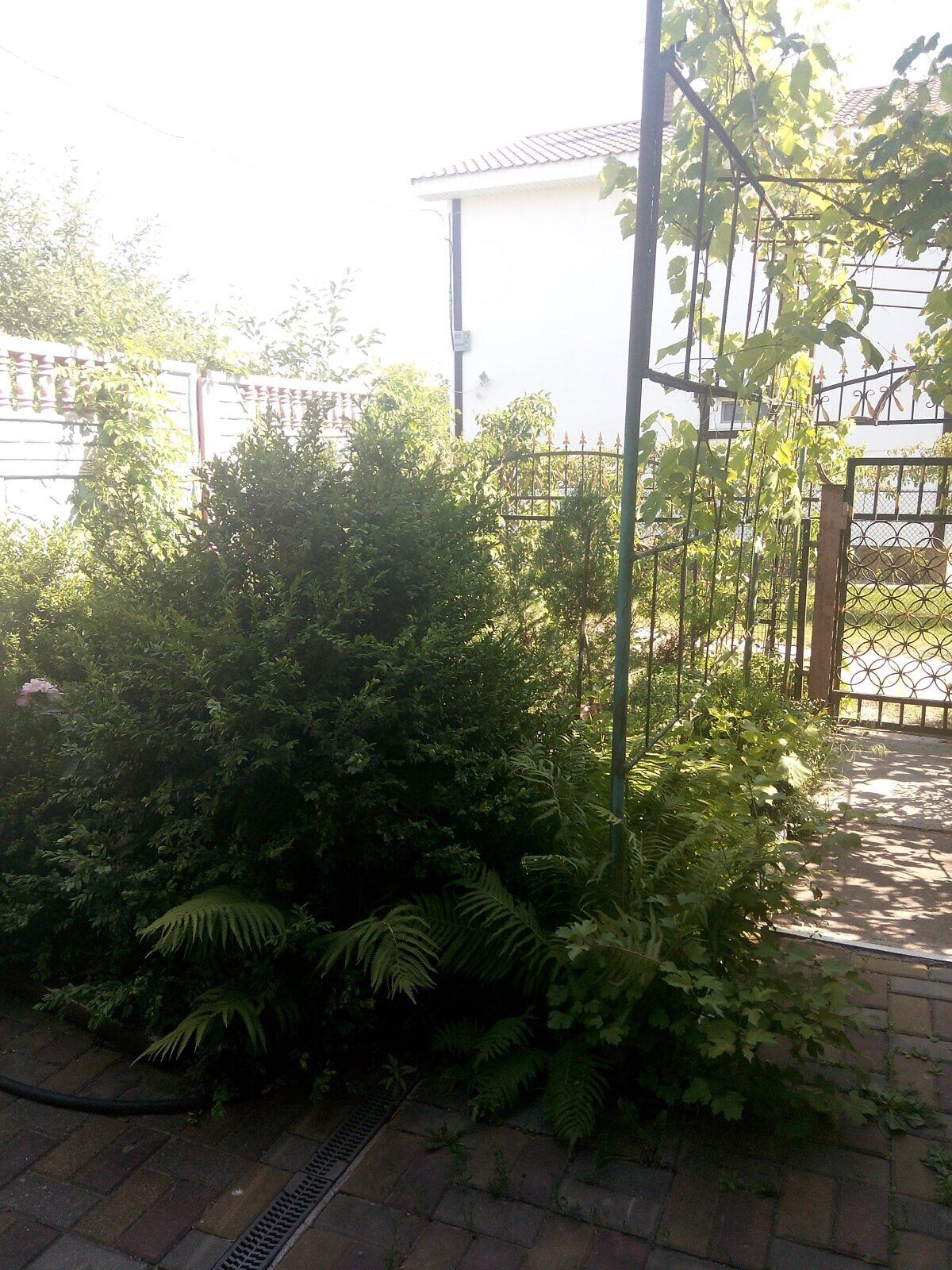 двоповерховий будинок з гаражем, 179 кв. м, цегла. Продаж у Будище фото 1 двоповерховий будинок з гаражем, 179 кв. м, цегла. Продаж у Будище фото 1