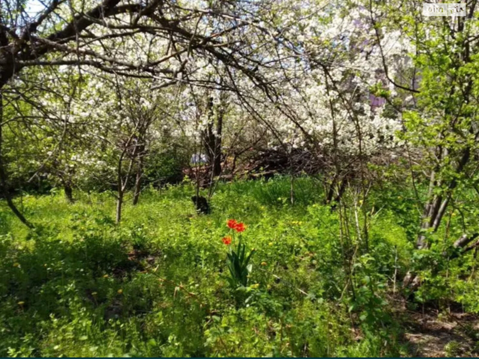 одноэтажный дом с верандой, 120 кв. м, кирпич. Продажа в Будах фото 1 одноэтажный дом с верандой, 120 кв. м, кирпич. Продажа в Будах фото 1