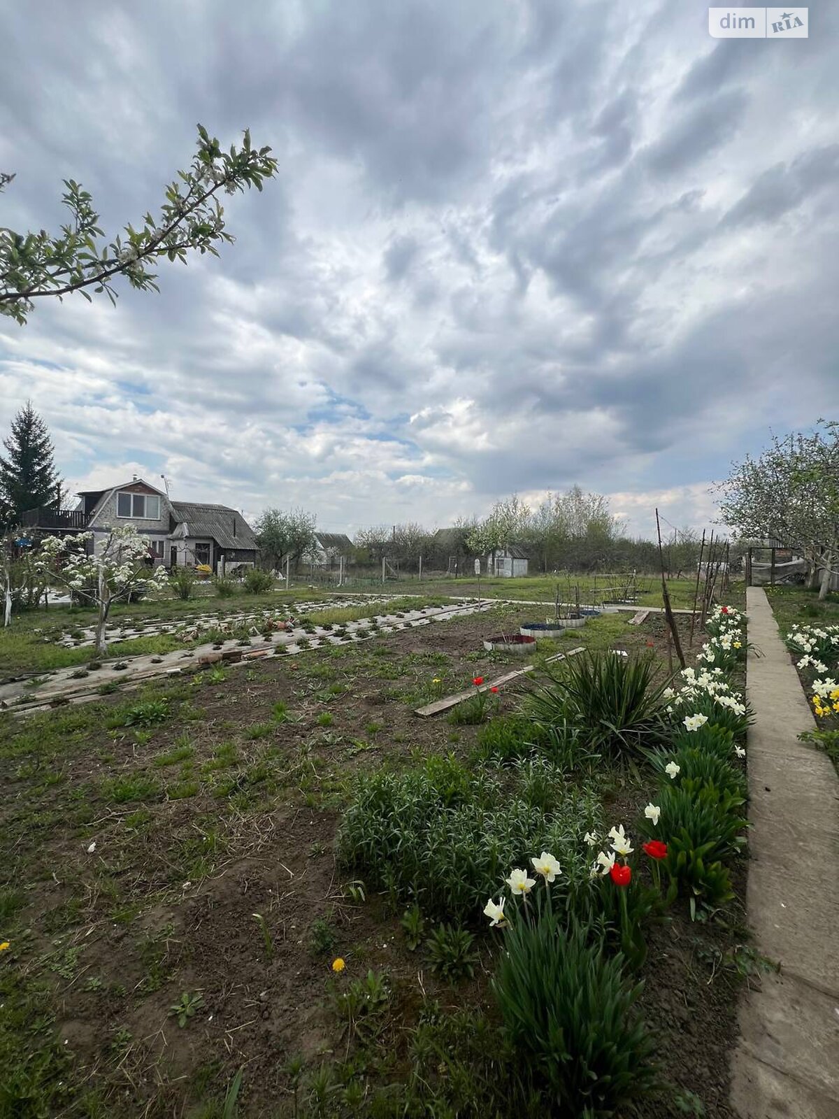 двоповерховий будинок з верандою, 80 кв. м, цегла. Продаж у Буках фото 1 двоповерховий будинок з верандою, 80 кв. м, цегла. Продаж у Буках фото 1