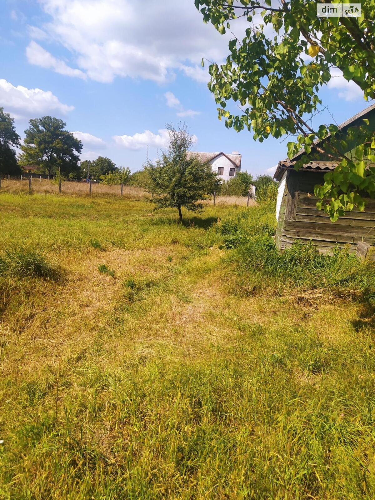 одноповерховий будинок з опаленням, 90 кв. м, дерево та цегла. Продаж у Буках фото 1