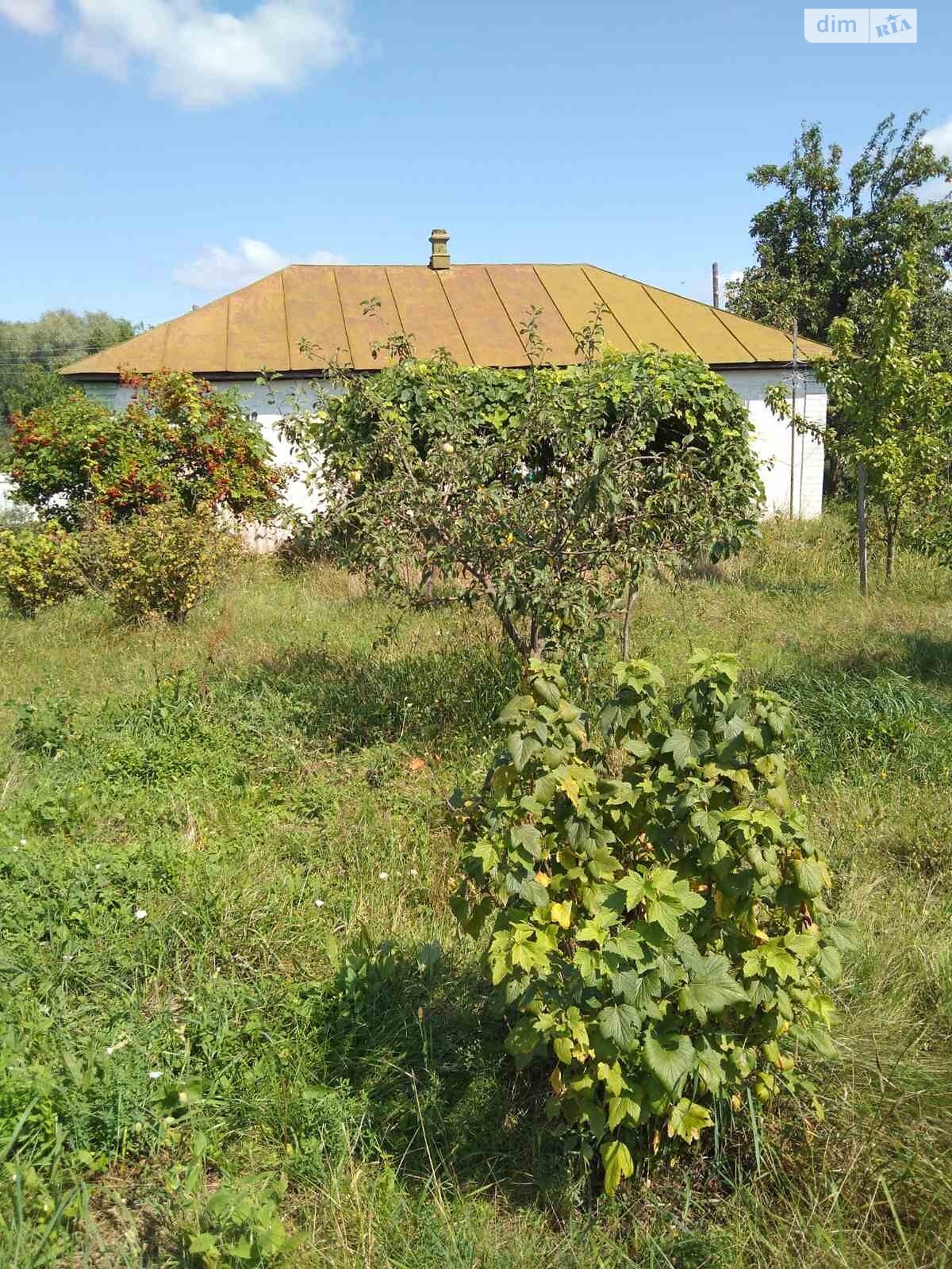 одноэтажный дом с гаражом, 73 кв. м, дерево и кирпич. Продажа в Булахове фото 1 одноэтажный дом с гаражом, 73 кв. м, дерево и кирпич. Продажа в Булахове фото 1