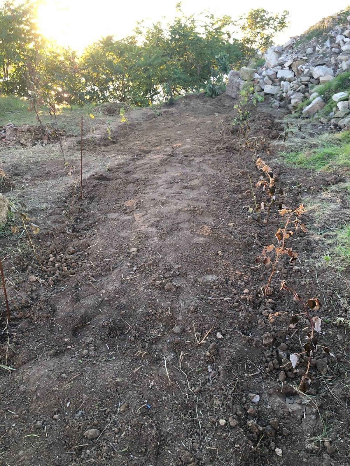 триповерховий будинок з гаражем, 369.4 кв. м, цегла. Продаж у Сухому Лимані фото 1