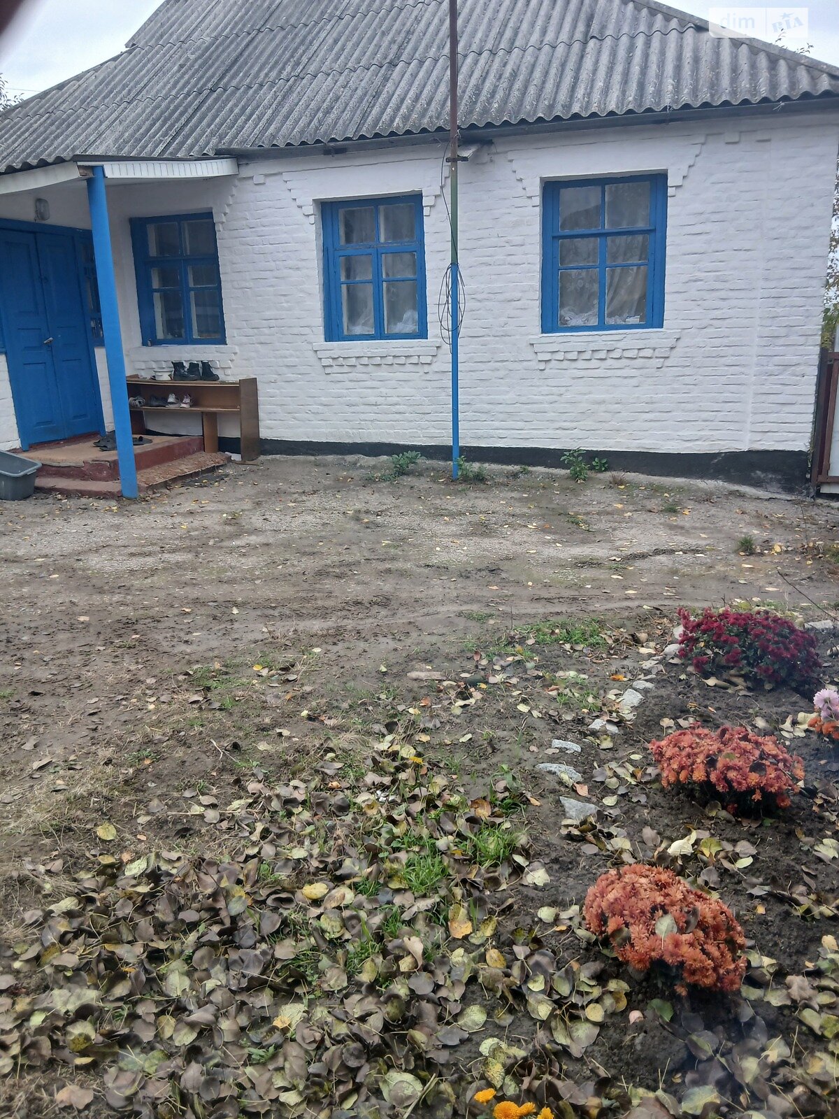 одноповерховий будинок, 54.9 кв. м, цегла. Продаж у Бушеве фото 1