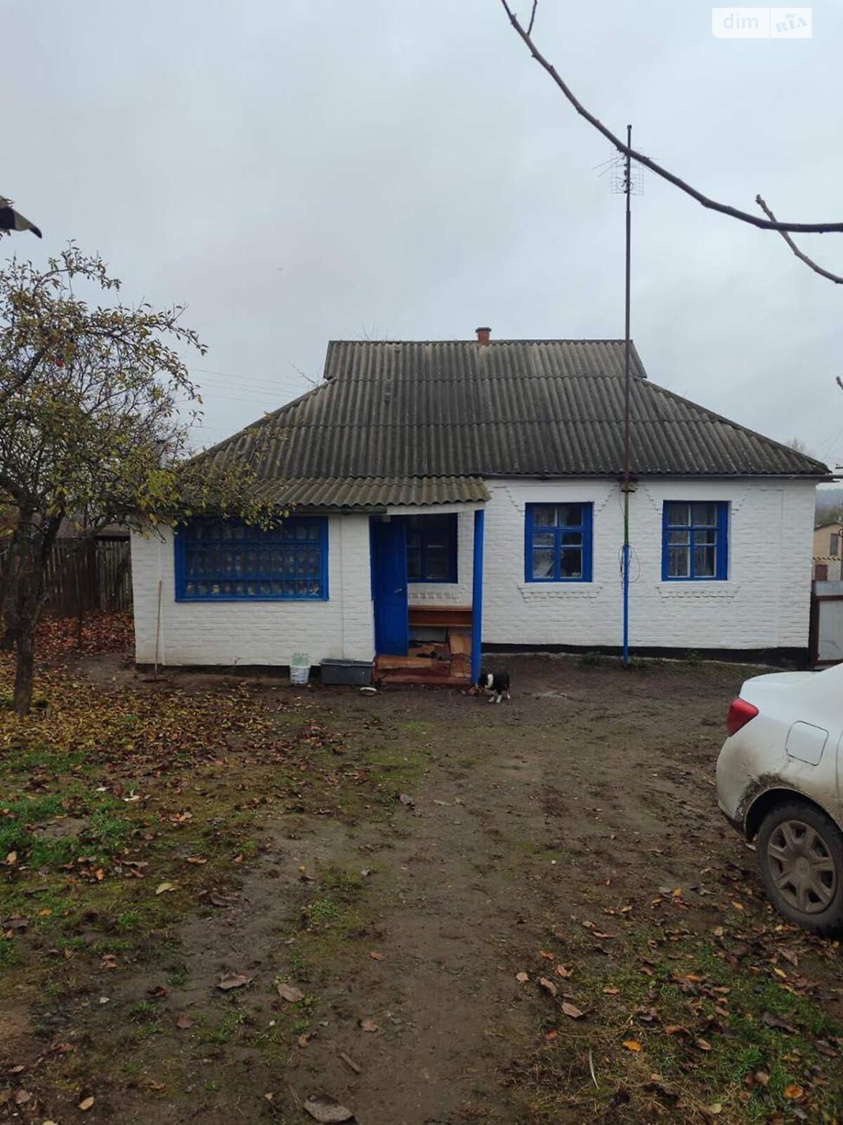 одноэтажный дом, 61.9 кв. м, глинобитный. Продажа в Бушево фото 1 одноэтажный дом, 61.9 кв. м, глинобитный. Продажа в Бушево фото 1