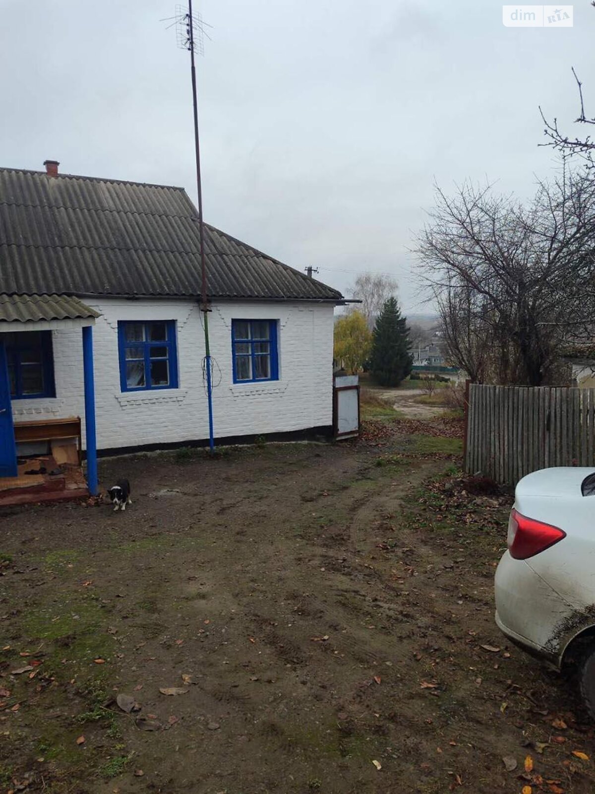 одноэтажный дом, 61.9 кв. м, глинобитный. Продажа в Бушево фото 1 одноэтажный дом, 61.9 кв. м, глинобитный. Продажа в Бушево фото 1