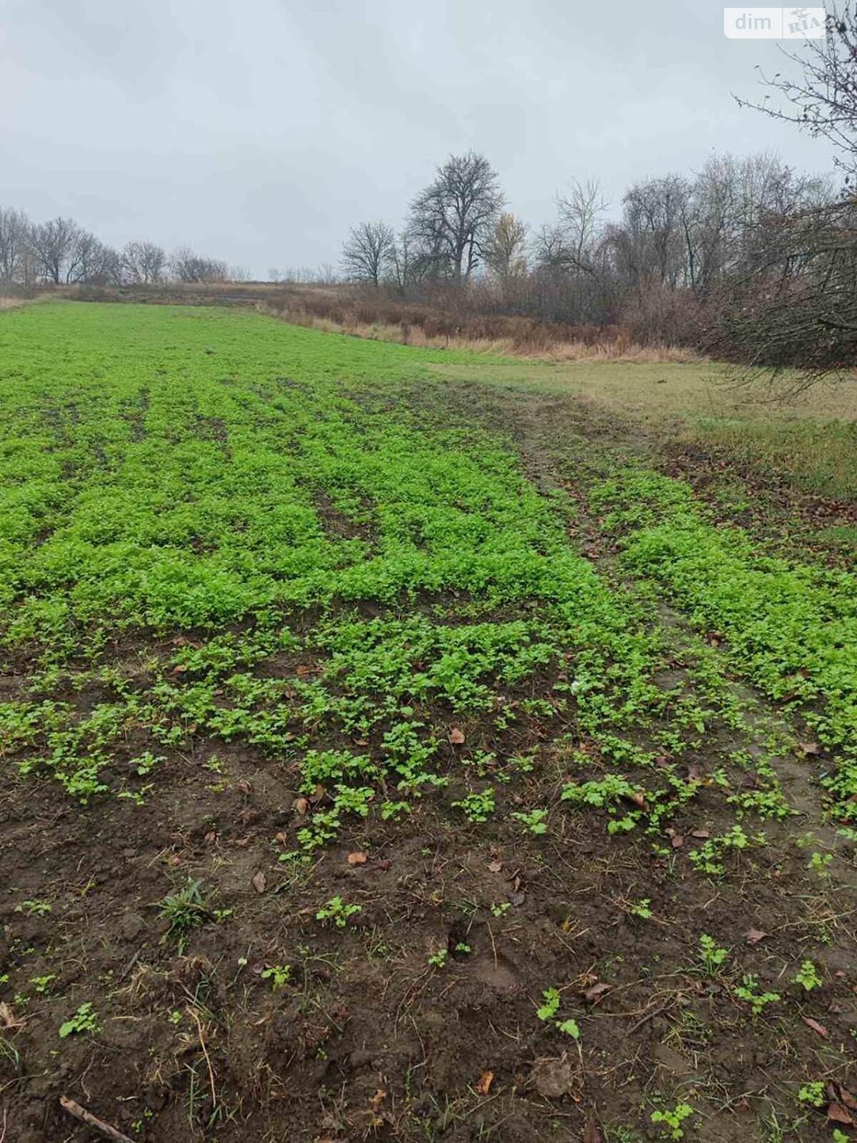 одноэтажный дом, 61.9 кв. м, глинобитный. Продажа в Бушево фото 1 одноэтажный дом, 61.9 кв. м, глинобитный. Продажа в Бушево фото 1