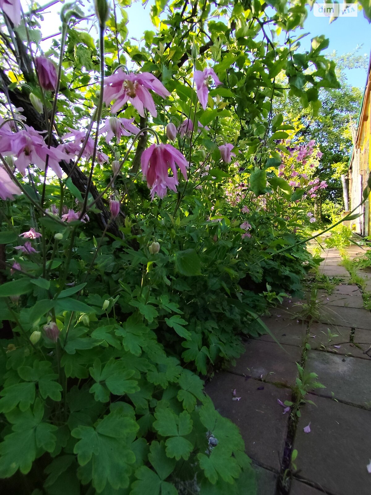 двоповерховий будинок, 113 кв. м, цегла. Продаж у Буцневі фото 1 двоповерховий будинок, 113 кв. м, цегла. Продаж у Буцневі фото 1