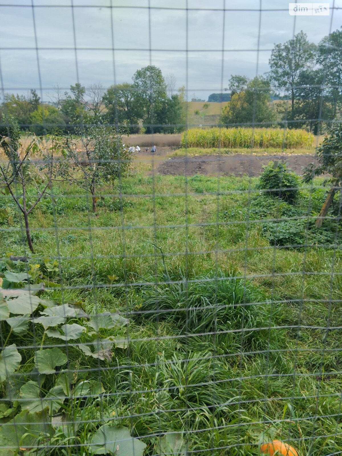 одноэтажный дом с отоплением, 157.5 кв. м, кирпич. Продажа в Буцневе фото 1 одноэтажный дом с отоплением, 157.5 кв. м, кирпич. Продажа в Буцневе фото 1