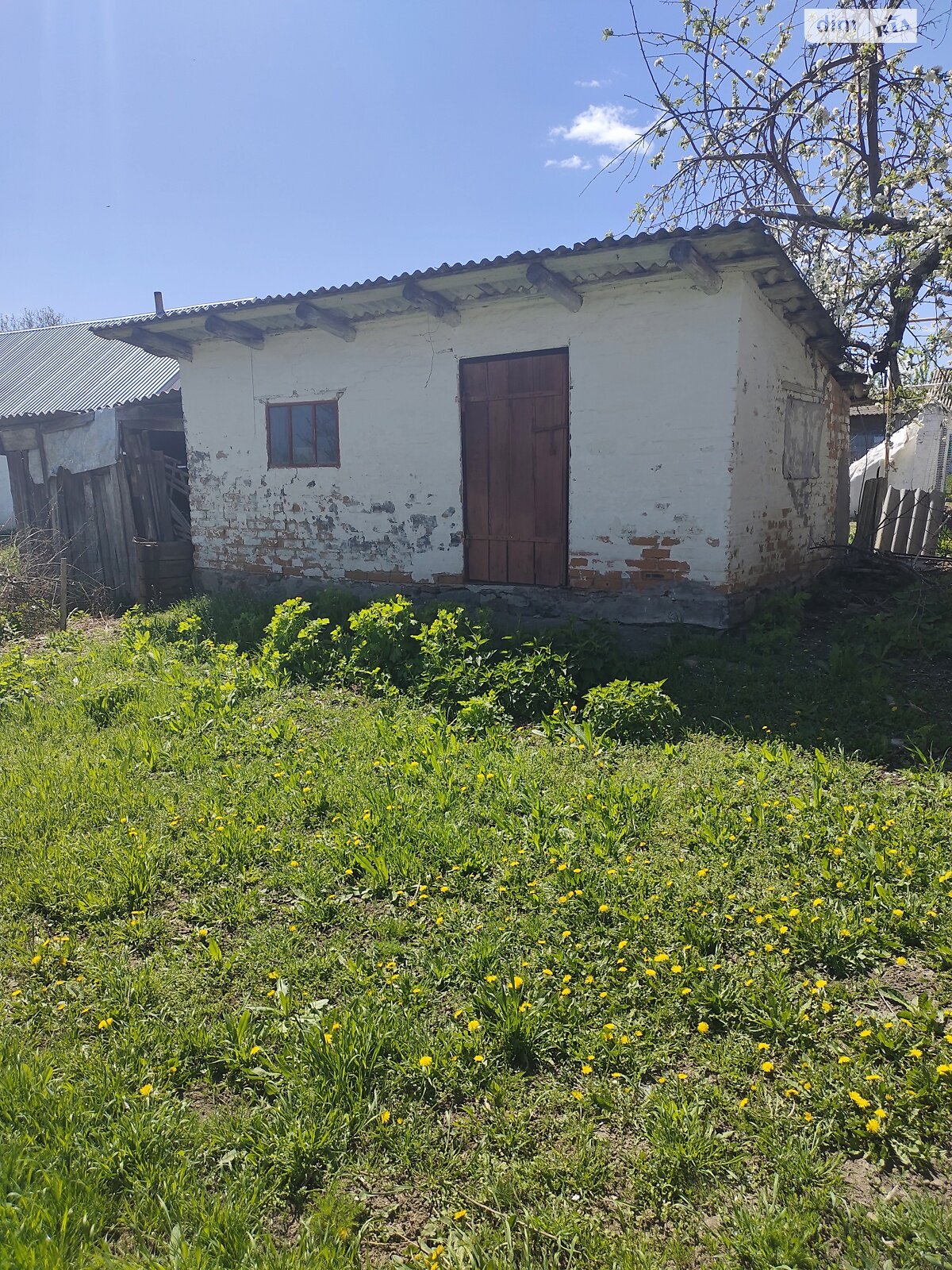 одноповерховий будинок, 74.3 кв. м, цегла. Продаж у Бузівці фото 1 одноповерховий будинок, 74.3 кв. м, цегла. Продаж у Бузівці фото 1