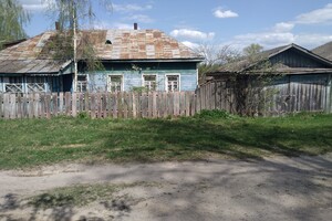 одноповерховий будинок, 47 кв. м, дерево та цегла. Продаж у Чапліївці фото 2