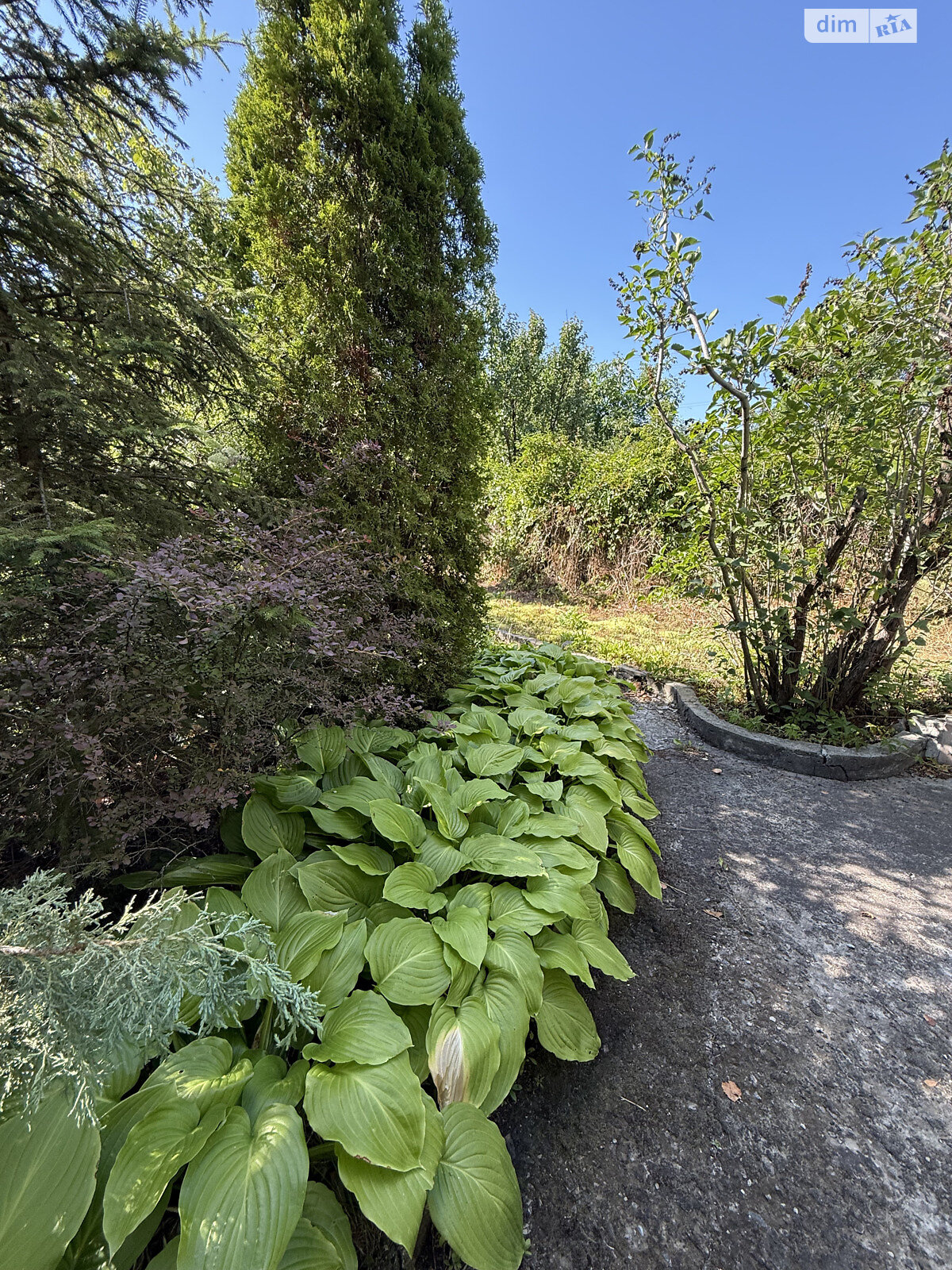 двоповерховий будинок з верандою, 85.3 кв. м, цегла. Продаж у Чеховці фото 1