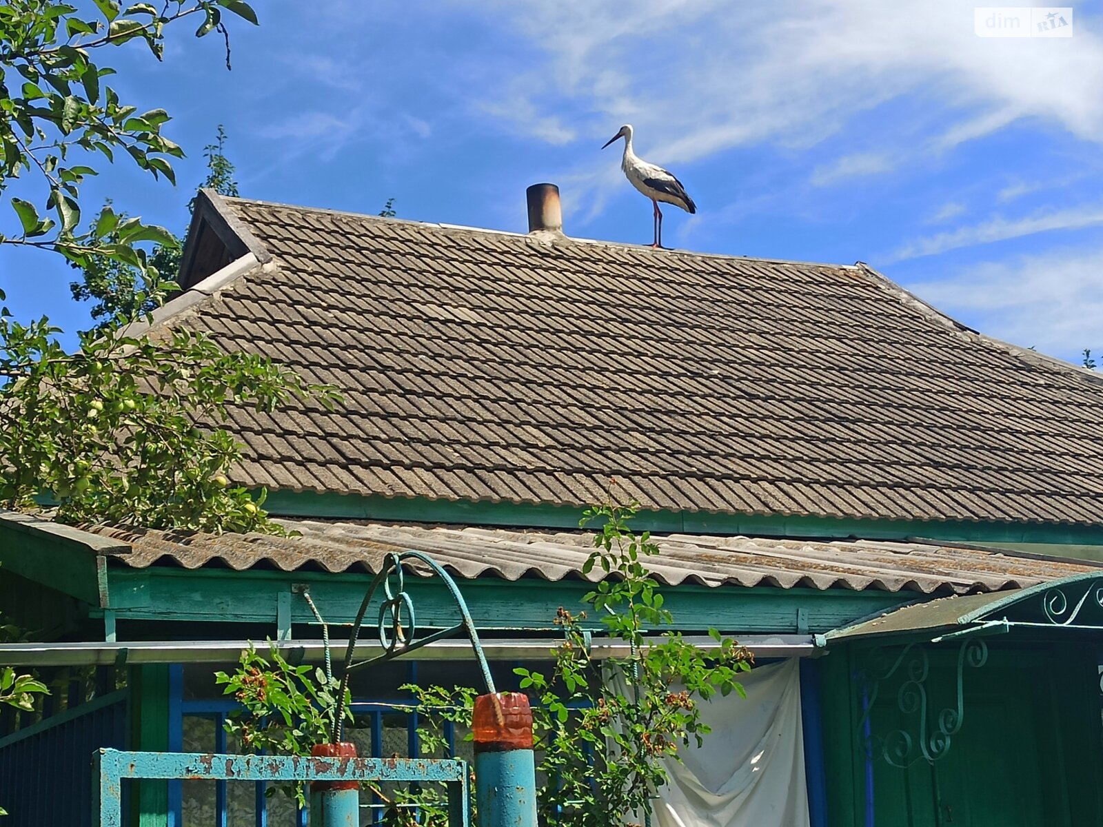 одноповерховий будинок з опаленням, 56.2 кв. м, цегла. Продаж у Черевках фото 1 одноповерховий будинок з опаленням, 56.2 кв. м, цегла. Продаж у Черевках фото 1