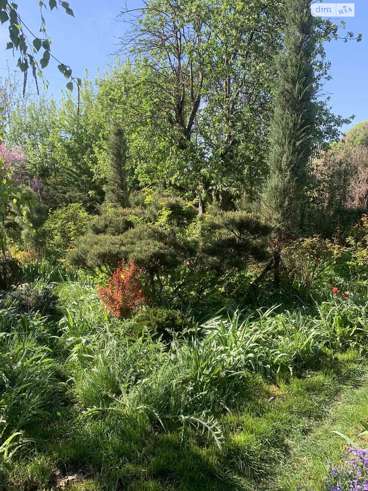 одноповерховий будинок з гаражем, 78 кв. м, цегла. Продаж в Черкасах, район Дахнівка фото 1 одноповерховий будинок з гаражем, 78 кв. м, цегла. Продаж в Черкасах, район Дахнівка фото 1