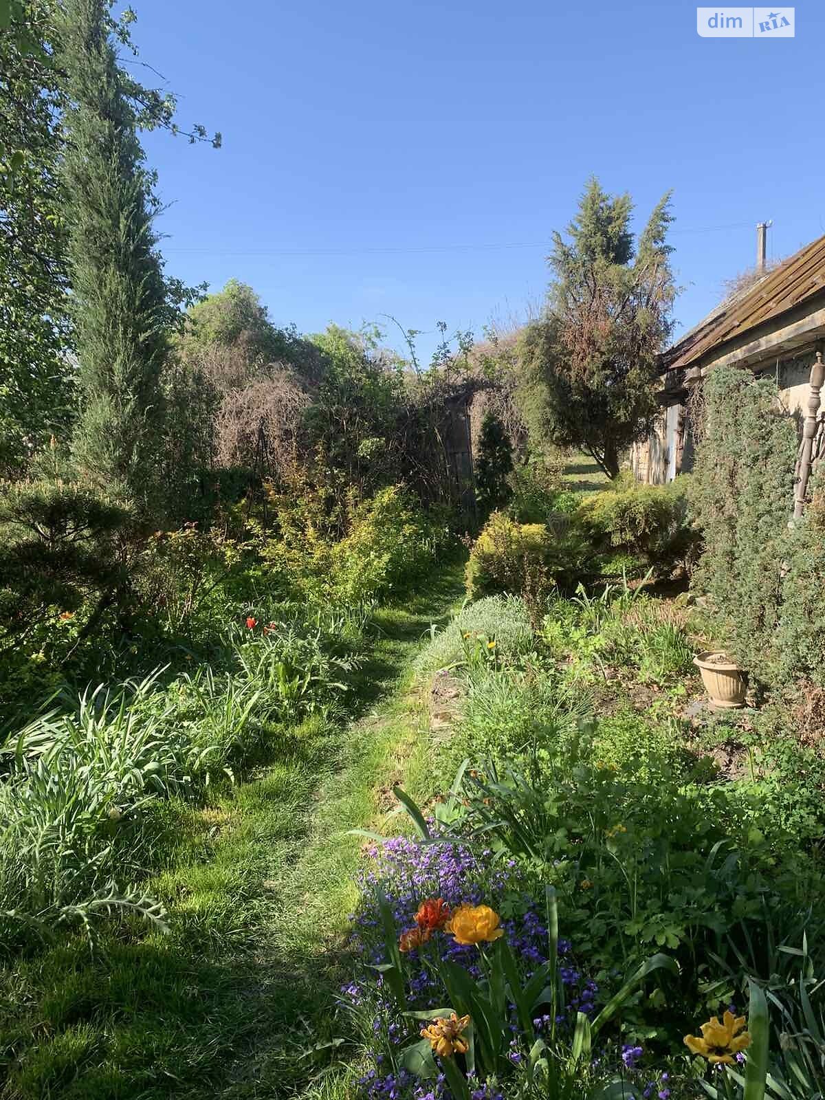 одноповерховий будинок з гаражем, 78 кв. м, цегла. Продаж в Черкасах, район Дахнівка фото 1 одноповерховий будинок з гаражем, 78 кв. м, цегла. Продаж в Черкасах, район Дахнівка фото 1