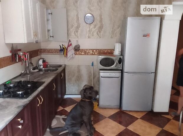 двухэтажный дом с садом, 200 кв. м, кирпич. Продажа в Думанцах (Черкасская обл.) фото 1 двухэтажный дом с садом, 200 кв. м, кирпич. Продажа в Думанцах (Черкасская обл.) фото 1