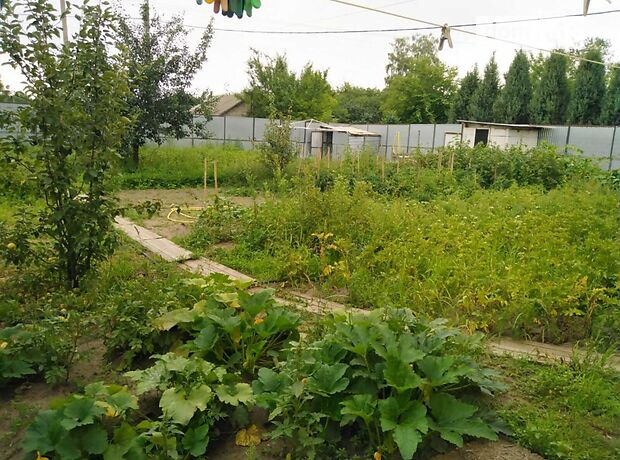 двухэтажный дом с садом, 200 кв. м, кирпич. Продажа в Думанцах (Черкасская обл.) фото 1 двухэтажный дом с садом, 200 кв. м, кирпич. Продажа в Думанцах (Черкасская обл.) фото 1
