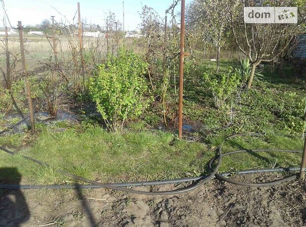 одноэтажный дом с садом, 115 кв. м, керамзитобетон. Продажа в Худяках (Черкасская обл.) фото 1 одноэтажный дом с садом, 115 кв. м, керамзитобетон. Продажа в Худяках (Черкасская обл.) фото 1