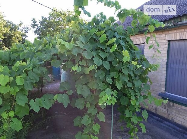 одноэтажный дом с садом, 62 кв. м, дерево и кирпич. Продажа в Черкассах район Казбет фото 1 одноэтажный дом с садом, 62 кв. м, дерево и кирпич. Продажа в Черкассах район Казбет фото 1