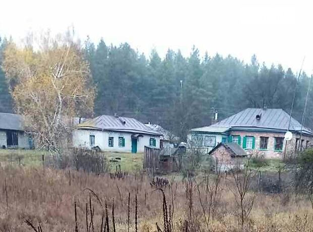 одноэтажный дом, 60 кв. м, кирпич. Продажа в Нечаевке (Черкасская обл.) фото 1 одноэтажный дом, 60 кв. м, кирпич. Продажа в Нечаевке (Черкасская обл.) фото 1