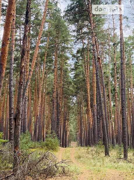 двухэтажный дом с террасой, 215 кв. м, монолит. Продажа в Нечаевке (Черкасская обл.) фото 1 двухэтажный дом с террасой, 215 кв. м, монолит. Продажа в Нечаевке (Черкасская обл.) фото 1