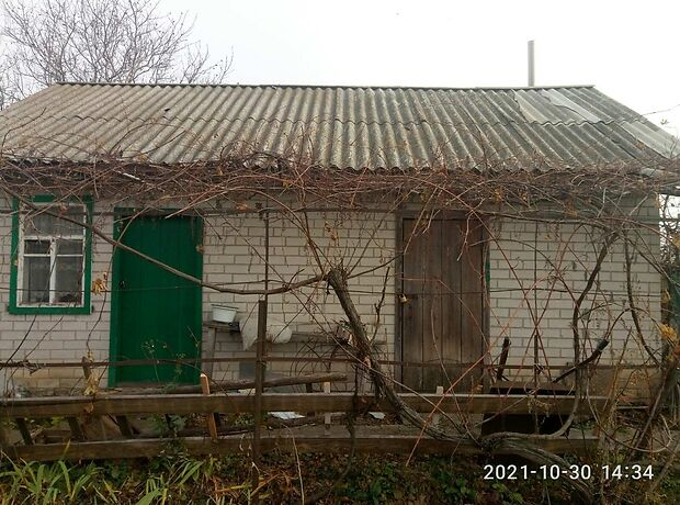 одноэтажный дом с садом, 49.4 кв. м, кирпич. Продажа в Сагуновке (Черкасская обл.) фото 1 одноэтажный дом с садом, 49.4 кв. м, кирпич. Продажа в Сагуновке (Черкасская обл.) фото 1