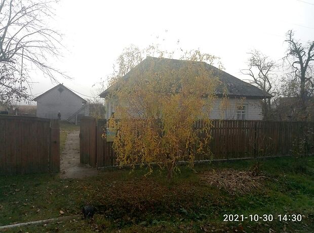 одноэтажный дом с садом, 49.4 кв. м, кирпич. Продажа в Сагуновке (Черкасская обл.) фото 1 одноэтажный дом с садом, 49.4 кв. м, кирпич. Продажа в Сагуновке (Черкасская обл.) фото 1