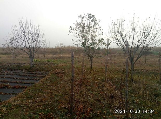 одноэтажный дом с садом, 49.4 кв. м, кирпич. Продажа в Сагуновке (Черкасская обл.) фото 1 одноэтажный дом с садом, 49.4 кв. м, кирпич. Продажа в Сагуновке (Черкасская обл.) фото 1